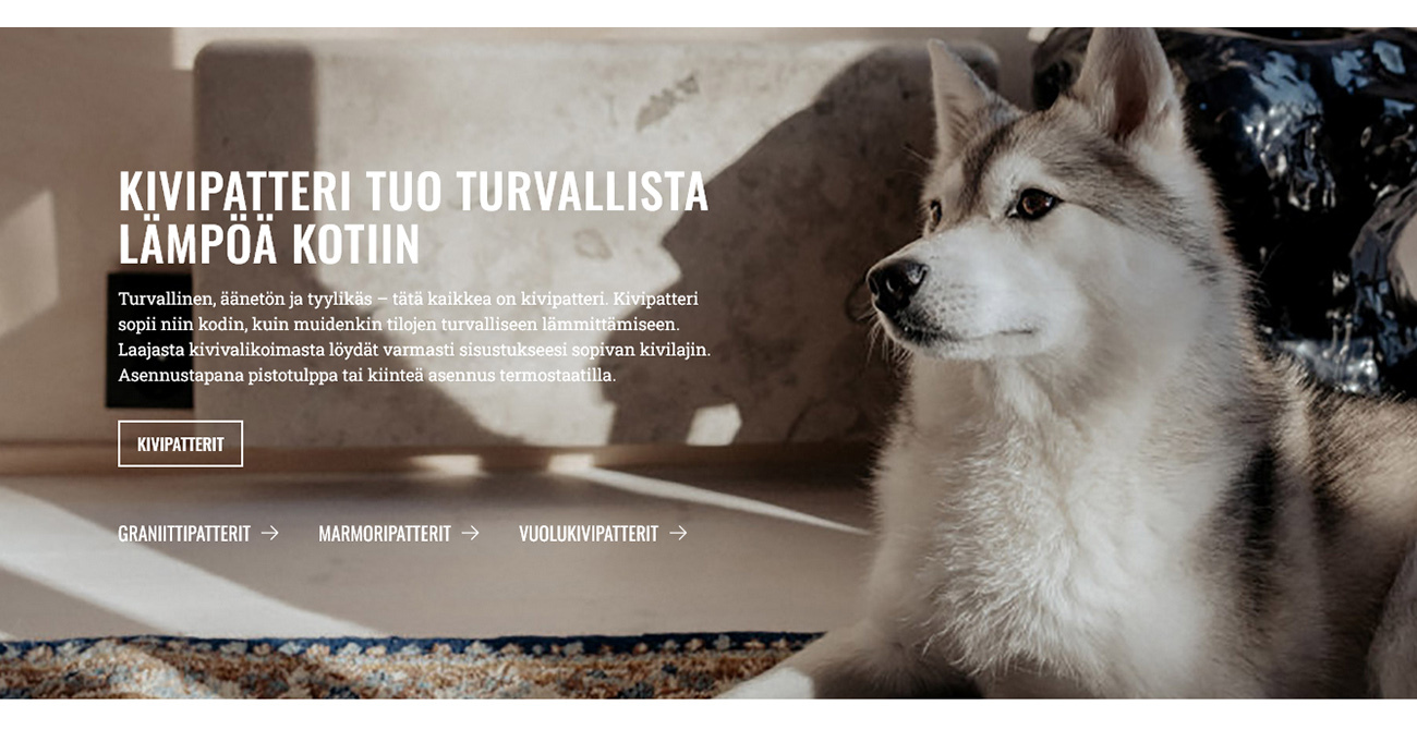 Kuvankaappaus Mondexin verkkosivuilta.